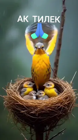 #циты и жизнь#яКазакша#рекомендация #тик ток#каментария🖤💜💙💚🧡 