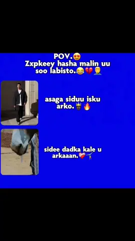 zxpkaas waba taqanaye soo qabo😂😂#foryoupage #videoviral #somali #viewsproblem #somalitiktok 