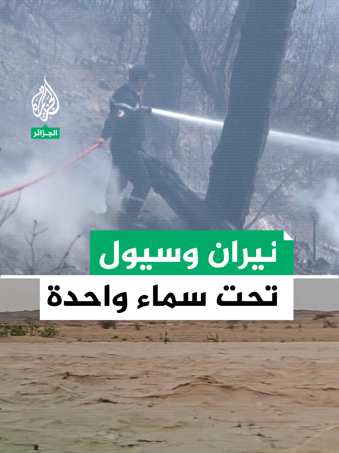 حرائق تشتعل في غابات #الجزائر وسيول تندفع بصحرائها #فيديو