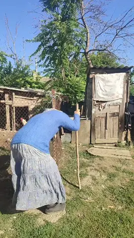 #Веселун