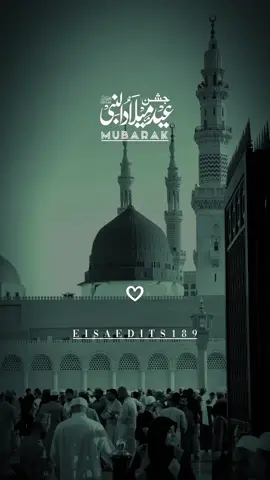 1500 Year jashn e wilaadat Mubarak to all Muslim || #rabiulawal #jashnewilaadat #viralvideo #trandingvideo #eisaedits189 