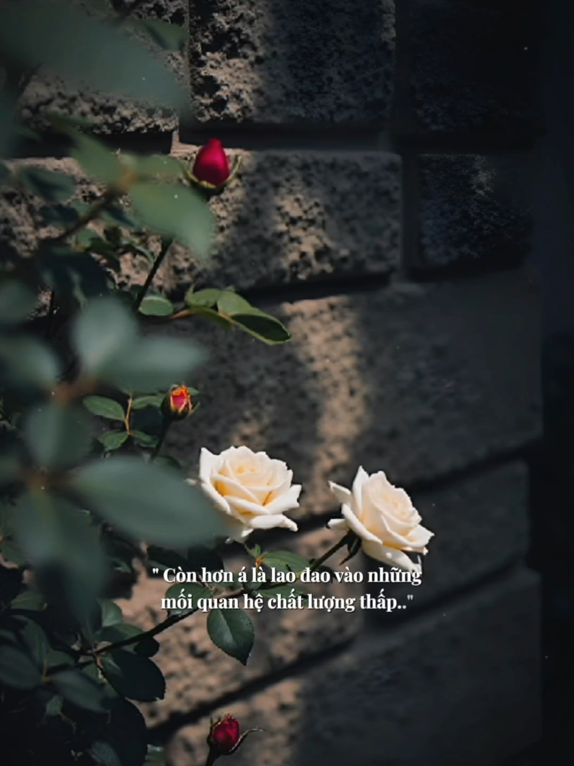 Đừng có ăn chè đậu đỏ để bỏ cả thế giới mà yêu anh.. #thattich #podcast #Bkmuzic #nhachaymoingay 