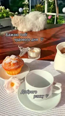 Доброго ранку #доброгоранку #godmorning #koffee #☕️ #ранковакава 
