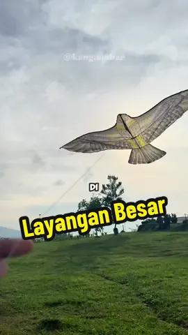 Rekomendasi layangan besar bentuk burung elang. #layangan #layanganbesar #layanganelang #layanganburung #layanganjumbo 