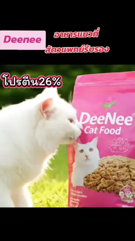 ดีนี่อาหารแมว #deenee  #อาหารแมว  #ทาสแมว #กินดีบอกต่อ  #ครูเอรินป้ายยา 