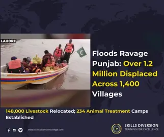 Flooding in the Chenab, Sutlej, and Ravi rivers has devastated nearly 1,400 villages across Punjab, displacing more than 1.2 million people. Along the Chenab, 991 villages and 769,281 people have been impacted, while Ravi River's bank burst has affected 80 villages and 74,775 residents, and the Sutlej has inundated 361 villages, displacing 392,768 people. Along with human evacuations, more than 148,000 livestock have been relocated to safer areas, with 234 animal treatment camps set up to provide medical support. More than 210,000 people have been moved to safer locations, including 25,000 accommodated in rescue camps, according to the National Disaster Management Authority (NDMA) as of Thursday. #sdu_news19  #Flooding 