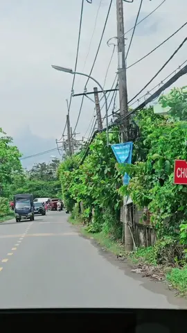#suhuongtiktok 