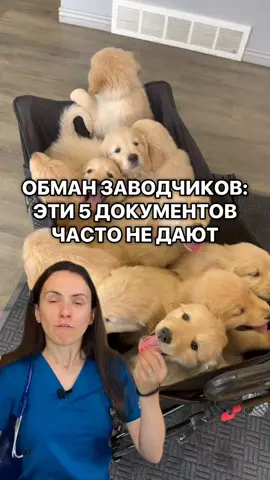 📝 Делюсь видео и гайдами — помогут сэкономить на ветеринаре без вреда здоровью — ссылка в bio