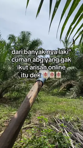 #kulisawit #petanisawit #promomakangajian #sawitontiktok #sawitbalap 
