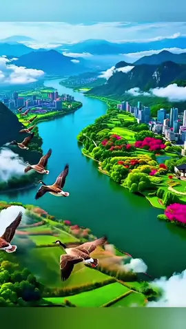 #Nature 🎵Chinese music 🎤