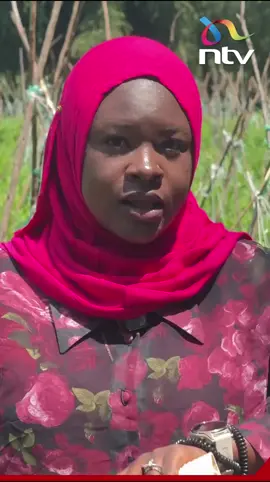 It’s a floody nightmare on the shores of Lake Baringo. A disaster for farmers whose farmers are close to the lake. In Meisori Village near Marigat, hundreds of farmers have suffered massive losses as their farms disappear under flood waters. #RisingLakes