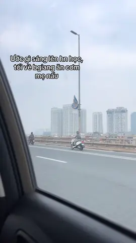 #sinhviendaihoc 