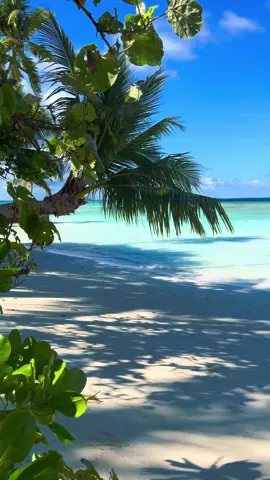 Positive vibes 🏝️💦🥥👙 #maldives #ocean #landscape #tropical #frypgシ 