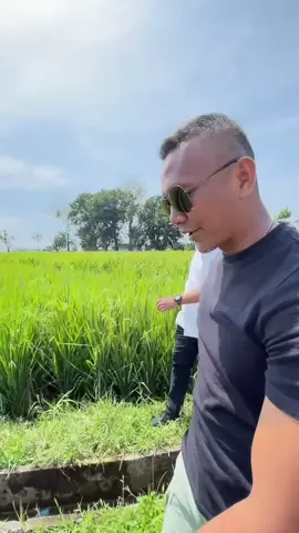 Petani Kuat, Ekonomi Rakyat Hebat! 🌾🇮🇩