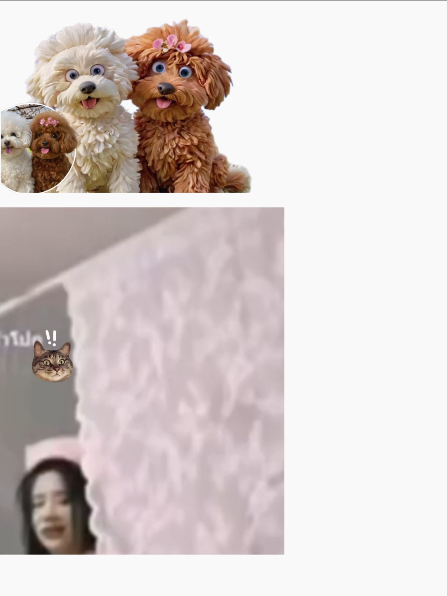 #ฟีดดดシ