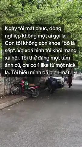 Ngày tôi mất chức, đồng nghiệp không một ai gọi lại. Con tôi không còn khoe “bố là sếp”. Vợ xoá hình tôi khỏi mạng xã hội. Tôi thử đăng một tấm ảnh cũ, chỉ có 1 like từ một nick lạ. Tôi hiểu mình đã biến mất.#lyhonnhanh #lythan #lyhondonphuong 