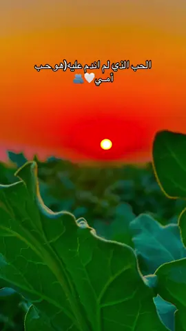 حب أمك محد يستاهل تحبه😚#تصويري_احترافي_الاجواء👌🏻🕊😴 #عباراتكم_الفخمه📿📌 #مجرد________ذووووووق🎶🎵💞 #اعاده_نشر🔁 #التفاعل_ضعيف_ممكن_اكسبلور_واحد 