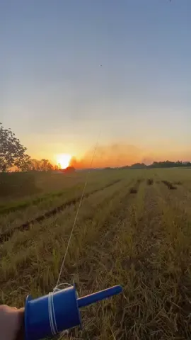 Mình lớn lên trong một gia đình không dư giả.Mọi thứ mình có đều là từ sự cố gắng của ba mẹ và chính bản thân. Chính hoàn cảnh đó đã dạy mình cách sống biết điều, biết ơn và không bao giờ xem điều gì là hiển nhiên. Mình không quen đòi hỏi, cũng không quen phụ thuộc.  Với mình, mỗi bữa cơm ngon, mỗi chiếc áo lành lặn hay những điều nhỏ nhặt nhất cũng đáng để trân trọng.                                                 Vì mình hiểu, có những thứ mình đang có hôm nay, ngày xưa là cả một giấc mơ.