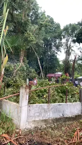 kebersamaan masyarakat cot aneuk batee ,dalam membersihkan ranting² yg tertimpa kuburan,termasuk kuburan ibunda bupati bireuen🤝#fyppppppppppppppppppppppp 
