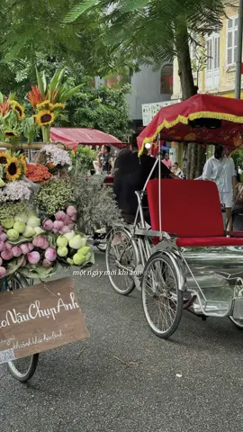 Đã đi đón mùa thu Hà Nội rồi nè ❤️ #hanoi #xuhuong #mutat 