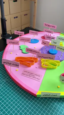 مجسم الخليه النباتيه والحيوانيه #مجسم_الخلية_الحيوانية #مجسم_الخلية_النباتية #الخلية_النباتية_و_الخلية_الحيوانية #احياء #مجسم_احياء 