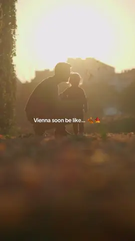 When autumn arrives in Vienna, the city turns golden 🍁🧡 Who else feels the fall vibes already? ✨ #viennatouristboard #viennanow #viennatravel #viennacity #fall 