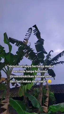 #fyp 