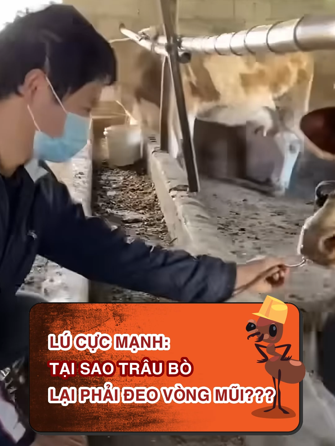 Đúng bị dắt mũi luôn mà #LearnOnTikTok #hoccungtiktok #beatnetwork #kienkhongngu