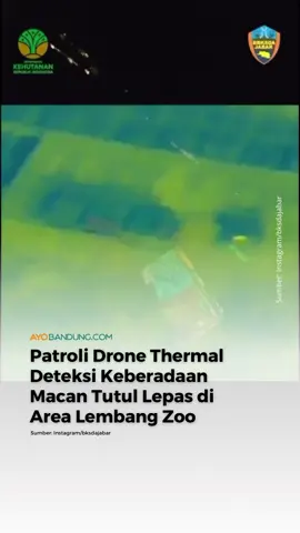 Langkah penangkapan macan tutul lepas dari kandang karantina di Lembang Park and Zoo, Kabupaten Bandung Barat menemukan titik terang.  Patroli pesawat drone thermal milik Balai Besar Konservasi Sumber Daya Alam (BBKSDA) Jawa Barat sempat mendeteksi keberadaan hewan itu, pada Kamis 28 Agustus 2025, malam. Humas BBKSDA Jabar Eri Mildrayana mengatakan, macan tutul merupakan karakter hewan nokturnal atau satwa yang aktif di malm hari.  