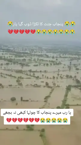 حالات یہی بتا رہے ہیں تباہی بہت زیادہ ہو سکتی ہے۔ فصلیں تباہ ہوسکتی ہیں۔ یا رب میرے پنجاب کا چولہا کبھی نہ بجھے۔ #سنگت_ویڈیو_وائرل_کریسو_آپ_ہیں🥀🌼🙈✨🎇  #foryou  #viralvediotiktok  #100kviews 