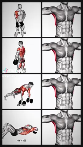 ##fypgym #gym #tiktok #trendingvideo #fy 