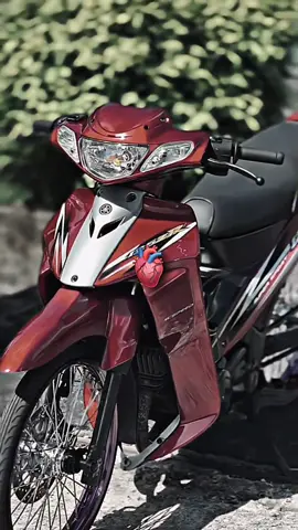 125zr 🔥#125zr #viral #fypシ゚ 