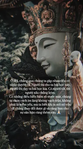 Cách đối nhân xử thế: Nhìn thấu nhưng không vạch trần. 🙏🏻 #đạophậtvàđờisống #phatphapnhiemmau 