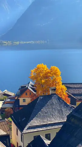 سبحان الله وبحمده سبحان الله العظيم #سويسرا🇨🇭 #تصويري #اجر_لي_ولكم #foryou #اذكروا_الله 