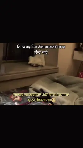 এইটা কেনো কথা ভাই..🙂🥲