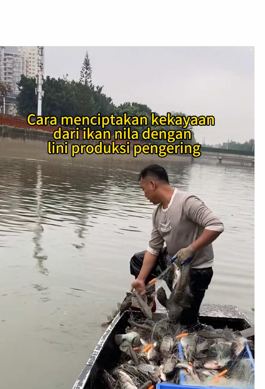 How to create wealth from tilapia with dryer production line #dryermachine #dryingmachine #tilapia #machine #fyppppppppppppppppppppppp 