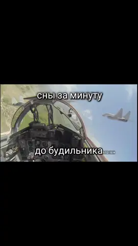 обидно #aviation #fyp #mig29  #military 