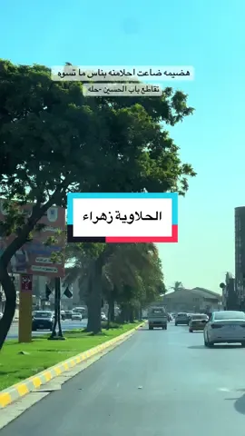 #wutheringwaves #fyp #tiktokviral #بغداد_العراق #foryou 