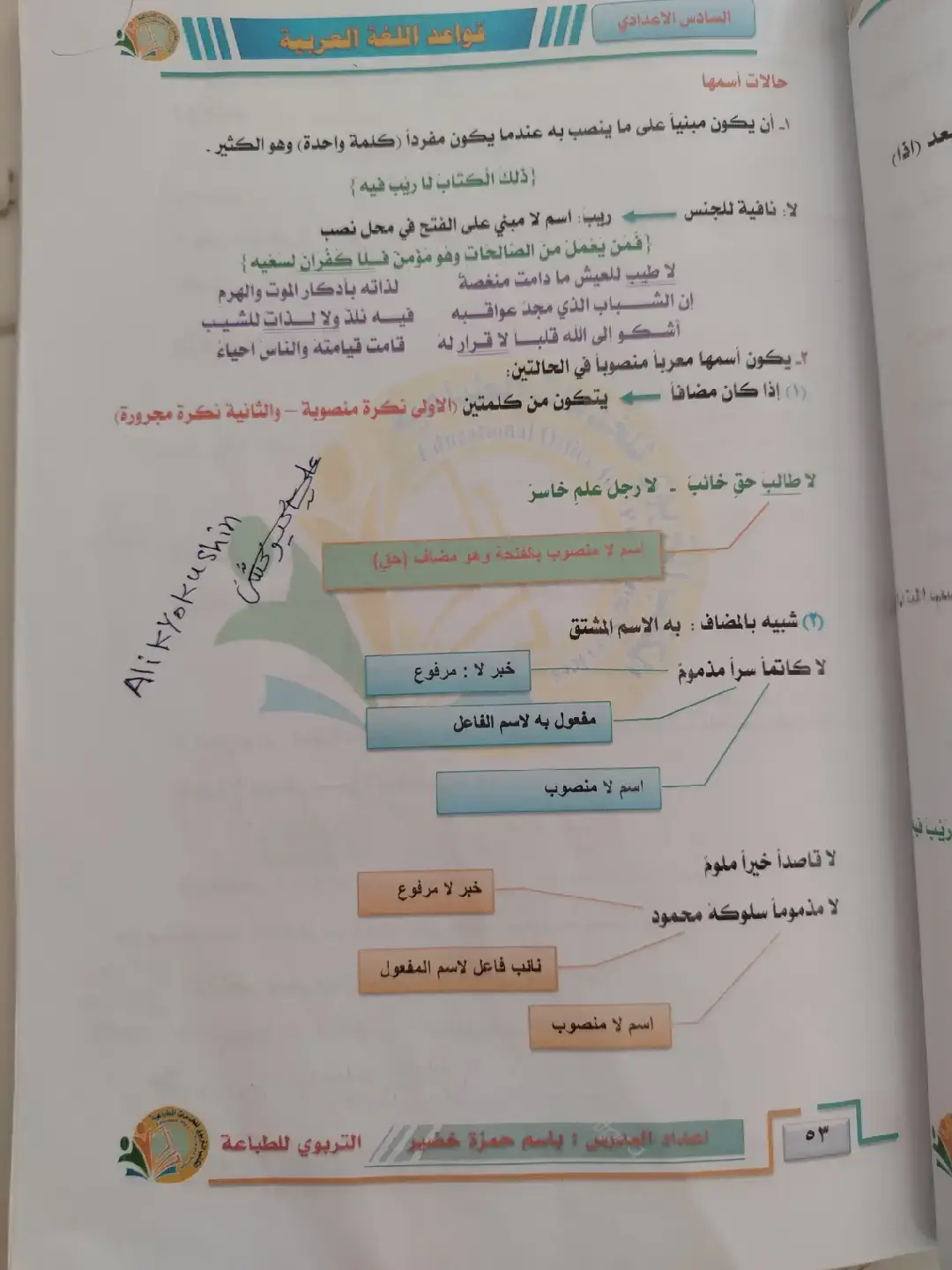 جايات باجر 100 ٪ 