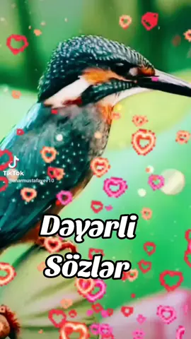 #bugün 