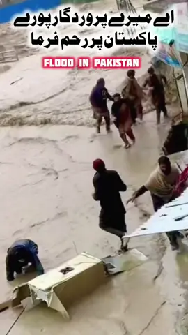 Pray For Pakistans Flood Areas #farhanaliwaris #flood #unfreezmyaccount #viral #foryoupage 