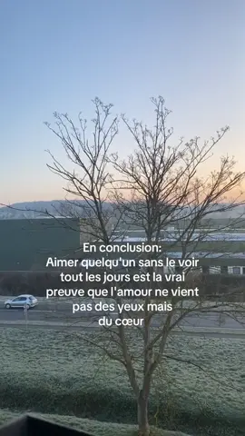 #pourtoii #transgenre🏳️‍⚧️ #envoiecetiktok #citation #amour 
