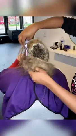 Cette femme en France n'a pas lavé ses cheveux depuis plus de 19 ans, dans l'espoir d'avoir les cheveux les plus longs de l'histoire. Et ce qu'elle a découvert en les coupant va vous bouleverser. #apprendresurtiktok #histoirevraire #cheveux #coiffeur #france 