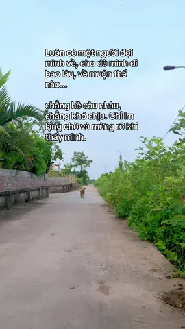 🌷🍃Hạnh phúc đôi khi đơn giản vậy thôi😚🙆‍♀️🐕 #ngoccungba 
