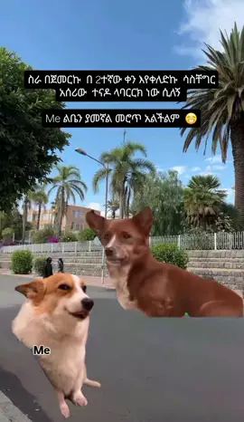 😬😁#fypシ゚ 