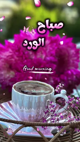 قالب جاهز للاستخدام#صباح_الورد @لحن الروح🎻  @لحن الروح🎻  @لحن الروح🎻 #goodmorning #لايك__explore___ #لحن_الروح🎻 #CapCut 