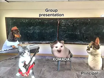 Part 2. Edit Xonada #fyp #phonk #cat #fyppppppppppppppppppppppp @vincentnikke 