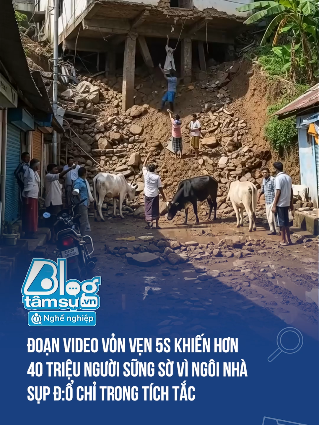 Ù ơi đúng tích tắc #discovery #blogtamsu #xuhuong #btsmedia #tiktoknews #funfact #viral #nhado