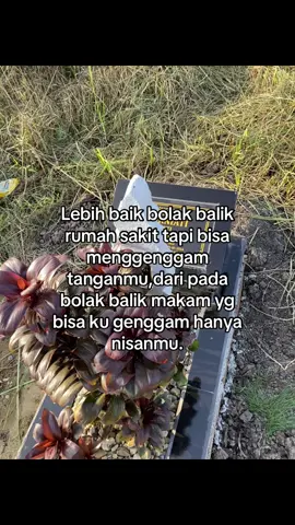 #rindumamapapadisurga#yatimpiatu #alfatihah 