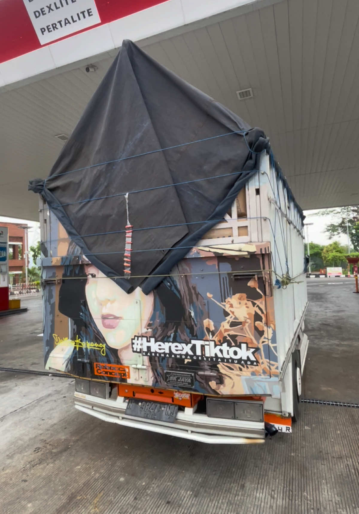 Kangen ihhhh 😍 . . #herextiktok #trukmaniaindonesia #masizzilproject 